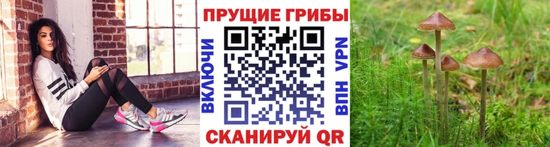 Галлюциногенные грибы мухоморы  Голицыно 